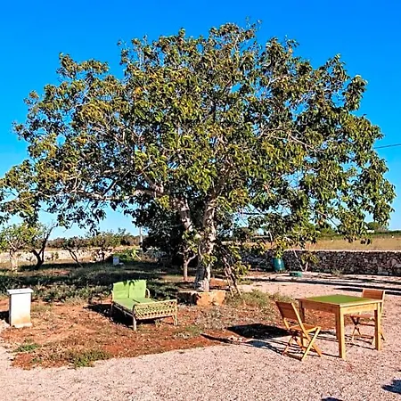 Bed & Breakfast Casina Solatia