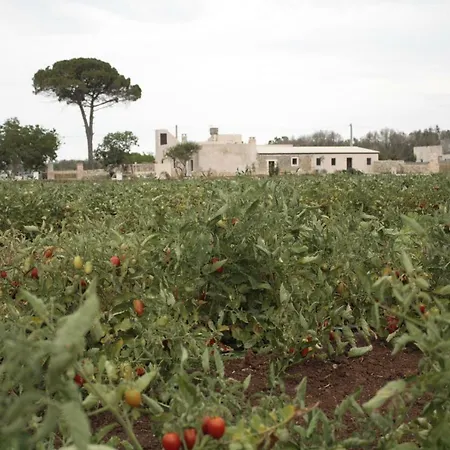 Bed & Breakfast Casina Solatia