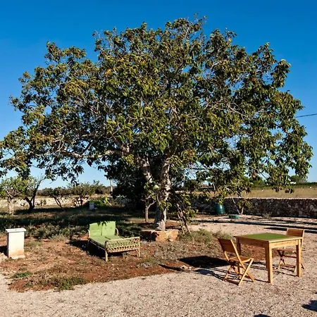Casina Solatia *